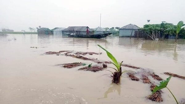 অসময়ের বন্যায় কুড়িগ্রামে ৩ হাজার পরিবার পানিবন্দি