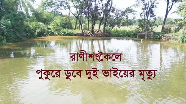 রাণীশংকৈল পুকুরে ডুবে দুই ভাইয়ের মৃত্যু