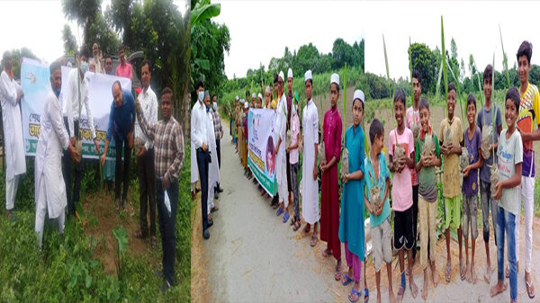 রানীশংকৈলে শেখ রাসেল দিবস উপলক্ষে ১০০ তালের চারা রোপণ