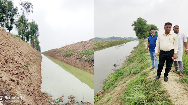 নওগাঁর আত্রাই উপজেলার লালপাড়া-পৈঁসাওতা খাল পূনঃখনন করায় কৃষকের মূখে সোনালী হাঁসি