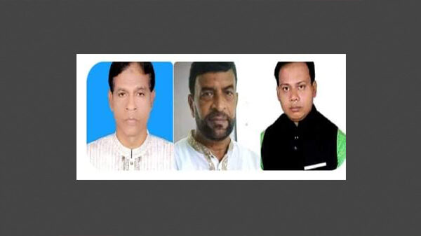 রায়পুরে আওয়ামীলীগের ৩ চেয়ারম্যানসহ ১৪ মেম্বার নির্বাচিত