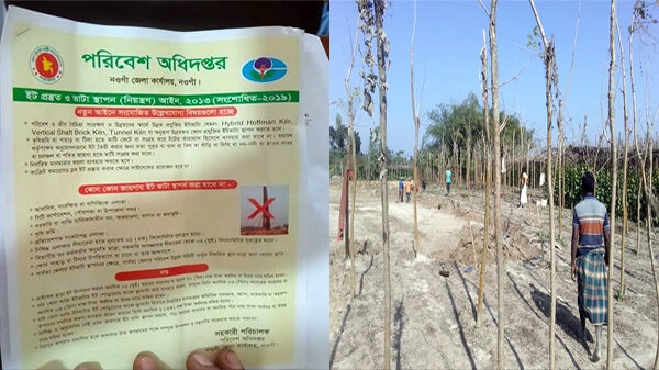 নওগাঁয় ভূমি কর্মকর্তাদের সঙ্গে আঁতাত করে কৃষি জমির মাটি কর্তন