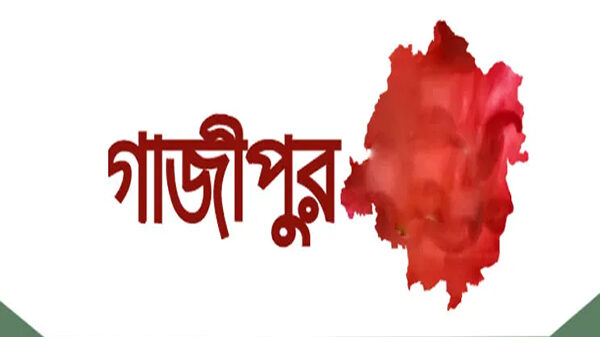 দুই মেয়েকে হত্যা করে মায়ের আত্মহত্যার চেষ্টা