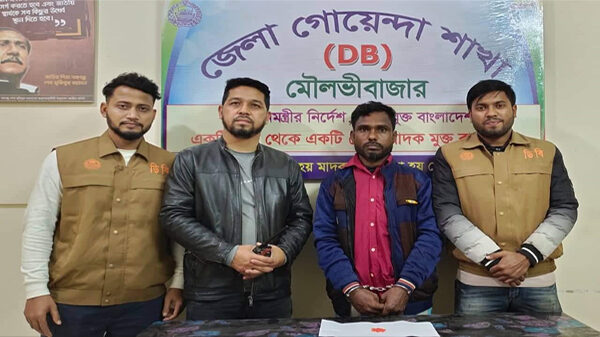 ডিবির জালে ইয়াবা সহ আটক ১জন