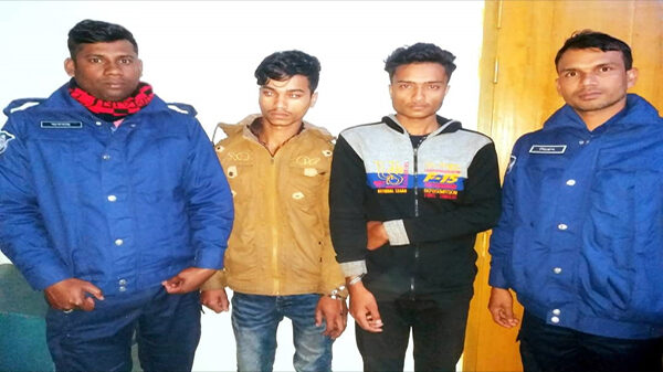 কুলাউড়া পুলিশের অভিযানে ২ চোরাসহ ৪টি গরু উদ্ধার