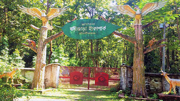 মৌলভীবাজারে বর্ষিজোড়া ইকো পার্কের বেহাল দশা, দেখার কেউ নেই!