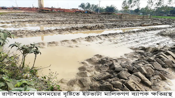 রাণীশংকৈলে মাঘের বৃষ্টিতে ভাটা মালিকেরা ১০ কোটি টাকা ক্ষতির শিকার