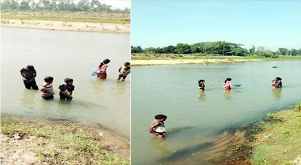 কমলগঞ্জের ধলই নদীতে বিষ প্রয়োগ