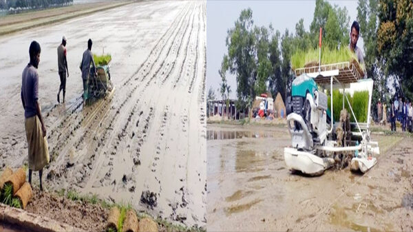 মৌলভীবাজারে বোরো চাষে সাফল্য দেখছে কৃষি বিভাগ