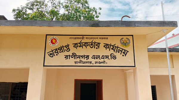 নওগাঁর রাণীনগরে চালে সংগ্রহের আশার মুখ দেখলেও মুখ থুবরে পড়েছে ধান সংগ্রহে!