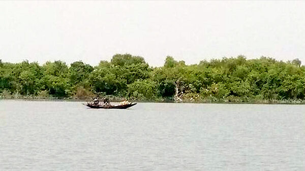 এক অপার সম্ভাবনায় পর্যটন স্পট বাঁশঝাড়িয়া মিনি সুন্দরবন!