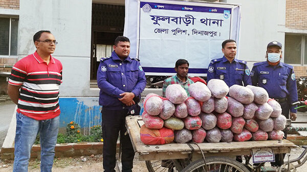 ফুলবাড়ীতে সাড়ে ৬ লক্ষ টাকার গাঁজাসহ আটক ১