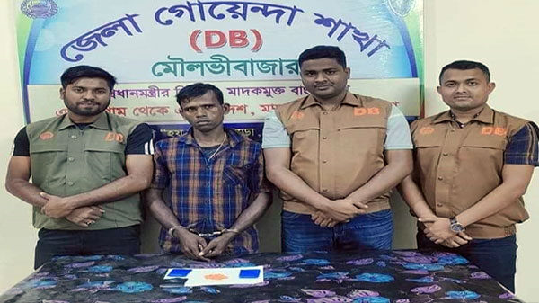 ইয়াবাসহ ডিবির জালে গ্ৰেফতার ১