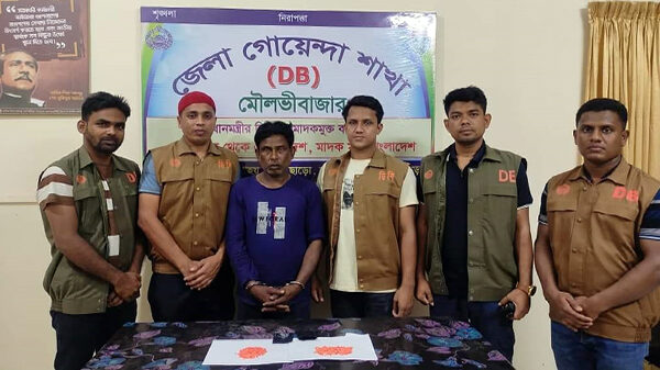 চিহ্নিত মাদক কারবারি ইয়াবাসহ ডিবির জালে