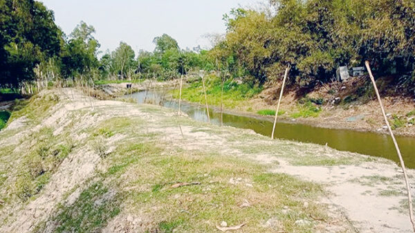 নাগেশ্বরীতে বৃক্ষরোপণ প্রকল্পে অনিয়ম