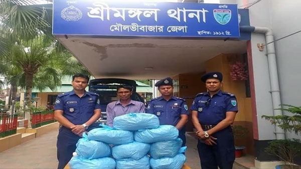 প্রায় ৯ কেজি গাঁজাসহ শ্রীমঙ্গল পুলিশের জালে ১জন গ্ৰেফতার