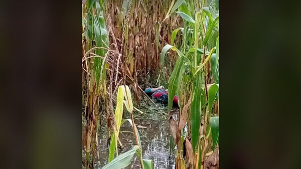 পাটগ্রামে ভুট্রাখেত থেকে কিশোরীর মরদেহ উদ্ধার