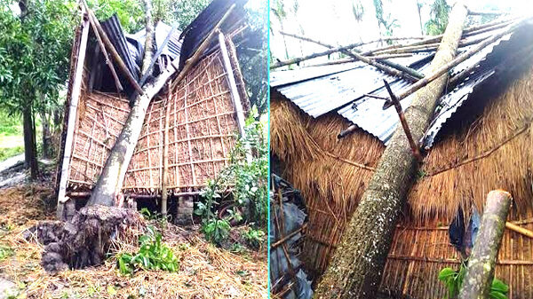 ঠাকুরগাঁওয়ে কালবৈশাখীর তান্ডবে ব্যাপক ক্ষয়ক্ষতি