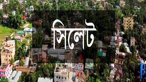 সিলেটে আবাসিক হোটেলে অসামাজিক কার্যকলাপরত অবস্থায় আটক ৯