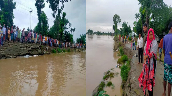 নেত্রকোণায় কংশ নদীর ভাংঙ্গন পরিদর্শন করেন উপজেলা নিবার্হী অফিসার মাহমুদা আক্তার