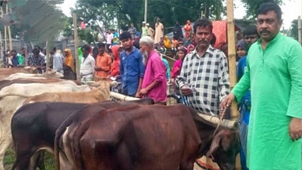 নাগেশ্বরীতে ২৭০ টি হতদরিদ্র পরিবারকে গরু দিলো বগুড়া পল্লী উন্নয়ন একাডেমী