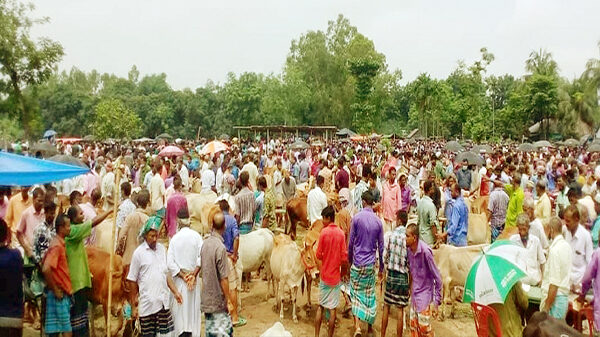 রাণীশংকৈলে নেকমরদ পশুর হাটে অতিরিক্ত খাজনা আদায়