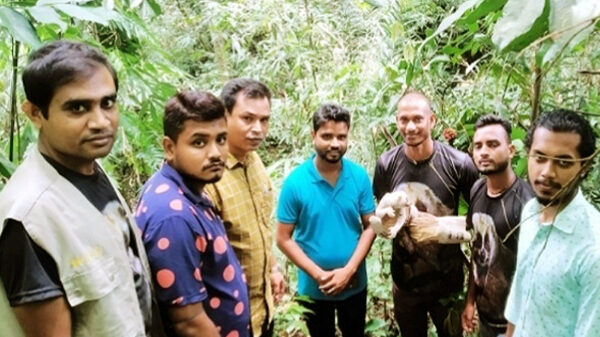 লজ্জাবতী বানর উদ্ধার ও অবমুক্ত করন