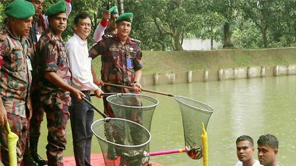নওগাঁ ব্যাটালিয়ন ১৬ বিজিবি'র উদযোগে ১৪টি পুকুরে ১০০ মন মাছের পোনা অবমুক্ত