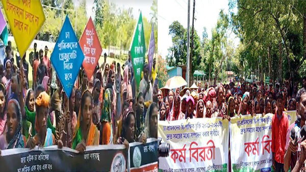 দেশ জুড়ে অনির্দিষ্টকালের কর্মবিরতির ঘোষণা চা শ্রমিকদের