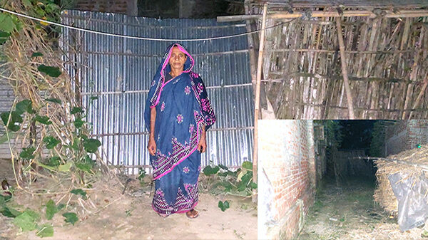 ঠাকুরগাঁওয়ের রাণীশংকৈল উপজেলার লেহেম্বা ইউনিয়নের চাপোড় পার্বতীপুর গ্রামের ৫০ বছর বয়সী বিধবা হোসনেয়ারা। ৭ বছর পূর্বে তার স্বামী মারা