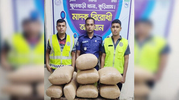 ফুলবাড়ীতে পুলিশি অভিযানে ৪২ কেজি গাঁজা জব্দ