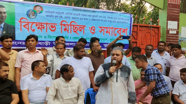 ফুলবাড়ীতে বিএনপির বিক্ষোভ সমাবেশ