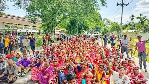 প্রধানমন্ত্রী ছাড়া কথা শুনতে নারাজ চা শ্রমিকরা