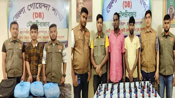 ডিবির অভিযানে ফেন্সিডিল ও গাঁজাসহ ৩জন আটক