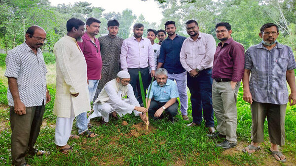 শাহজাহানপুরে ১০০০ তাল গাছ ও বীজ রোপন