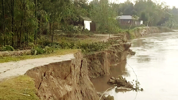 ফুলবাড়ীতে ধরলার ভাঙ্গনে হুমকির মুখে তিন শতাধিক পরিবার