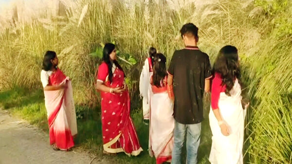 বাঞ্ছারামপুরে কাঁশফুলের সৌন্দর্য দেখতে দর্শনার্থীদের ভীড়