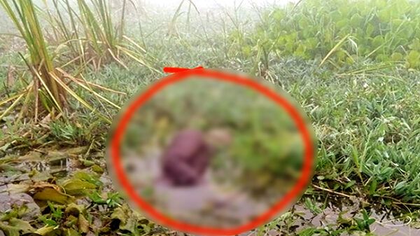 হরিপুরে নদীতে শামুক কুড়াতে গিয়ে বিদ্যুৎপৃষ্টে দিনমজুরের মৃত্যু