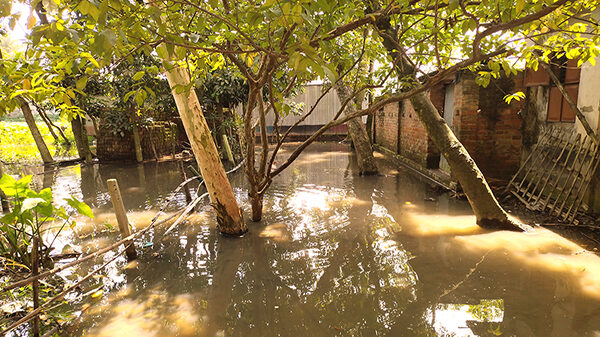 নওগাঁয় প্রভাবশালীর প্রভাবে ৩০ টি পরিবার পানি বন্দি