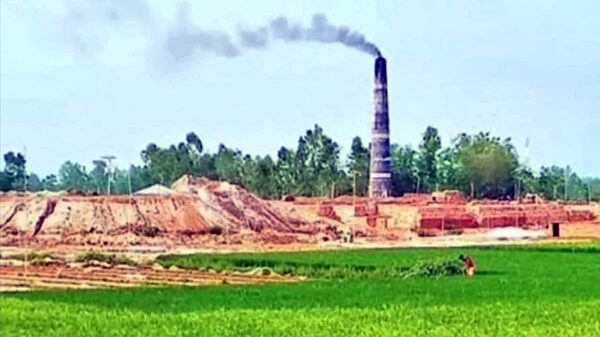 মুরাদনগরে ১ ইউনিয়নে ১৮ ইটভাটা, ধ্বংসের মুখে কৃষি জমি