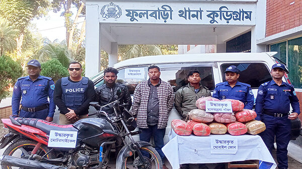 ফুলবাড়ীতে মাইক্রোবাস সহ ৪২ কেজি গাঁজা জব্দ, আটক ৩