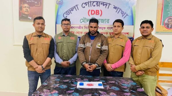 ডিবির জালে ইয়াবাসহ ১ ব্যবসায়ী আটক