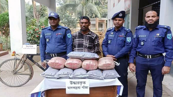ফুলবাড়ীতে খড়ের ভিতর ২৬ কেজি গাঁজা, গ্রেফতার-১