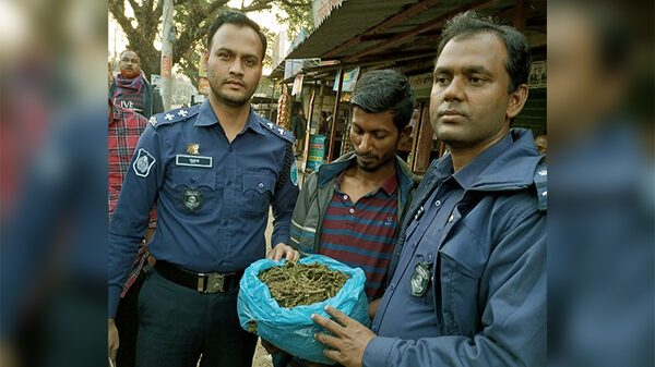 শ্রীমঙ্গলে ১কেজি গাঁজাসহ আটক ১